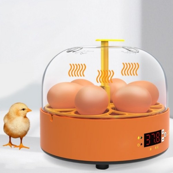 6 Eggs Children Experimental Eggs Incubator Chicken Incubator Chicken Hatching Machine Manual Eggs Turning Temperature Control C