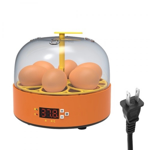 6 Eggs Children Experimental Eggs Incubator Chicke...