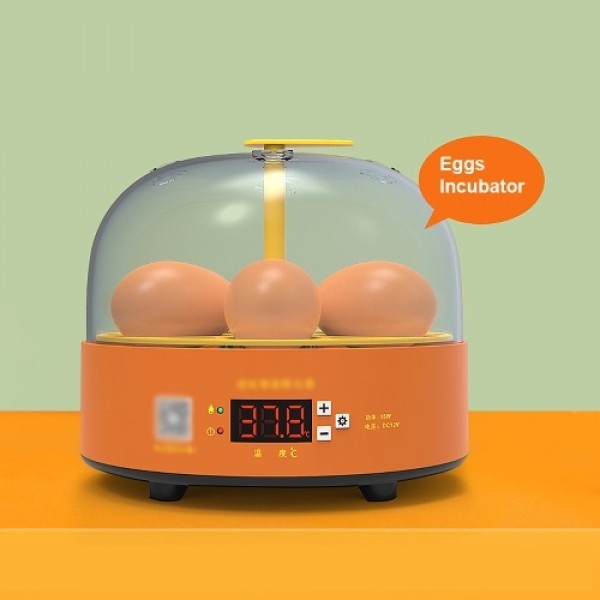 6 Eggs Children Experimental Eggs Incubator Chicken Incubator Chicken Hatching Machine Manual Eggs Turning Temperature Control C