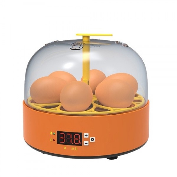 6 Eggs Children Experimental Eggs Incubator Chicken Incubator Chicken Hatching Machine Manual Eggs Turning Temperature Control C