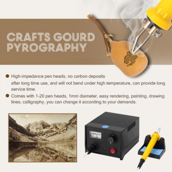LH45-ZA1 Pointer Voltmeter Type Multifunctional Electric Gourd Wooden Pyrography Machine with 20pcs Heating Pen Heads