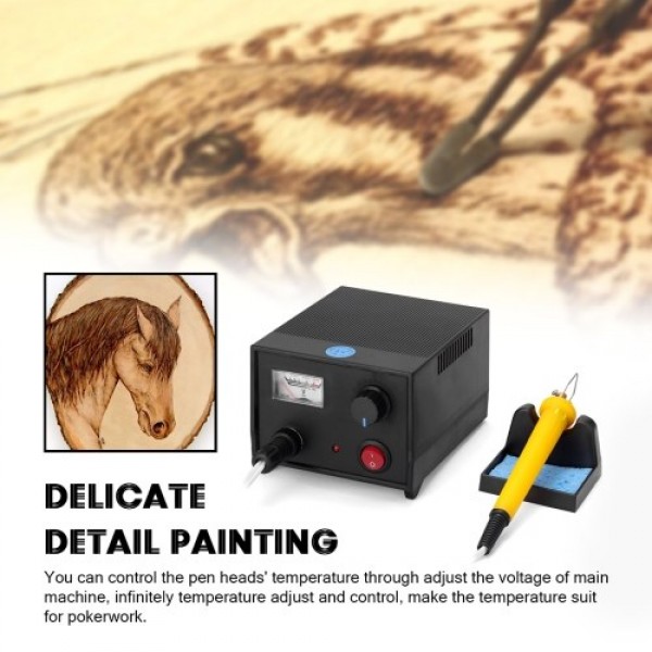 LH45-ZA1 Pointer Voltmeter Type Multifunctional Electric Gourd Wooden Pyrography Machine with 20pcs Heating Pen Heads