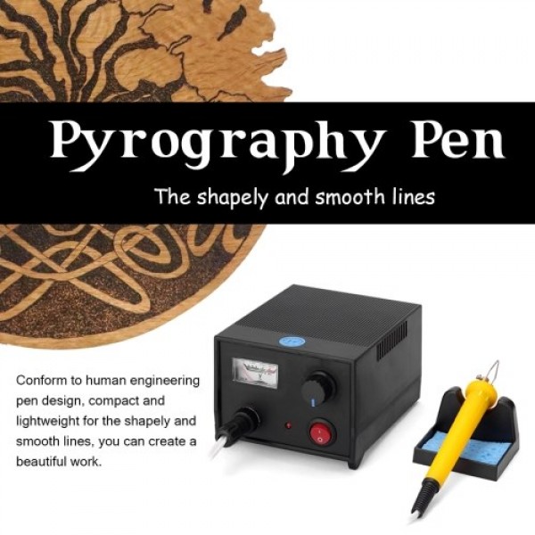 LH45-ZA1 Pointer Voltmeter Type Multifunctional Electric Gourd Wooden Pyrography Machine with 20pcs Heating Pen Heads